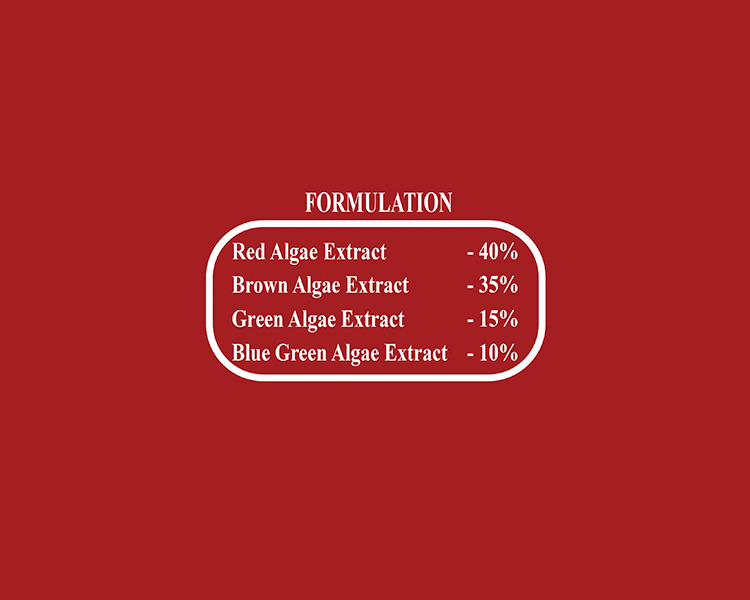 Vep MaxX Formulation
